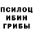 Псилоцибиновые грибы мицелий Ramosh PERDEBEK