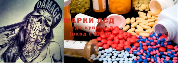 сатива Балабаново